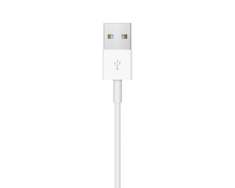 Apple Câble de charge USB-A vers magnétique 100 cm pour montre blanc (MX2E2ZM/A)