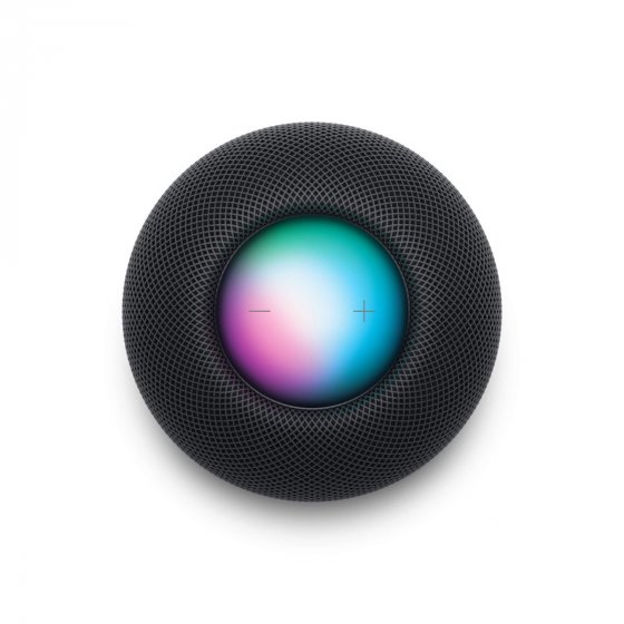 Apple Homepod Mini Gris Espace